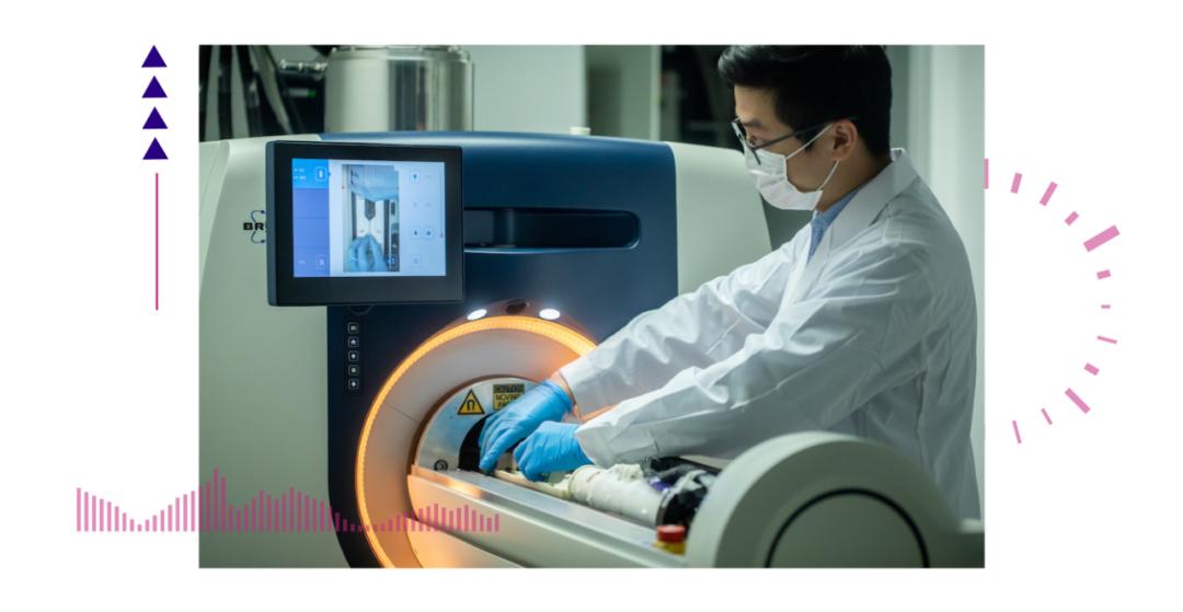 香港脊髓研究取得新進(jìn)展，探索自然美景的心靈之旅新篇章