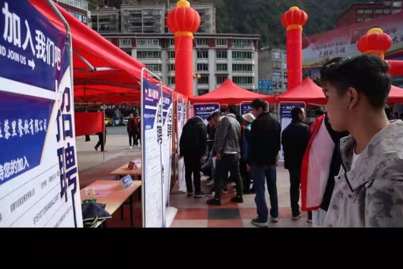 青白江招聘信息探索，小巷中的職業(yè)機遇