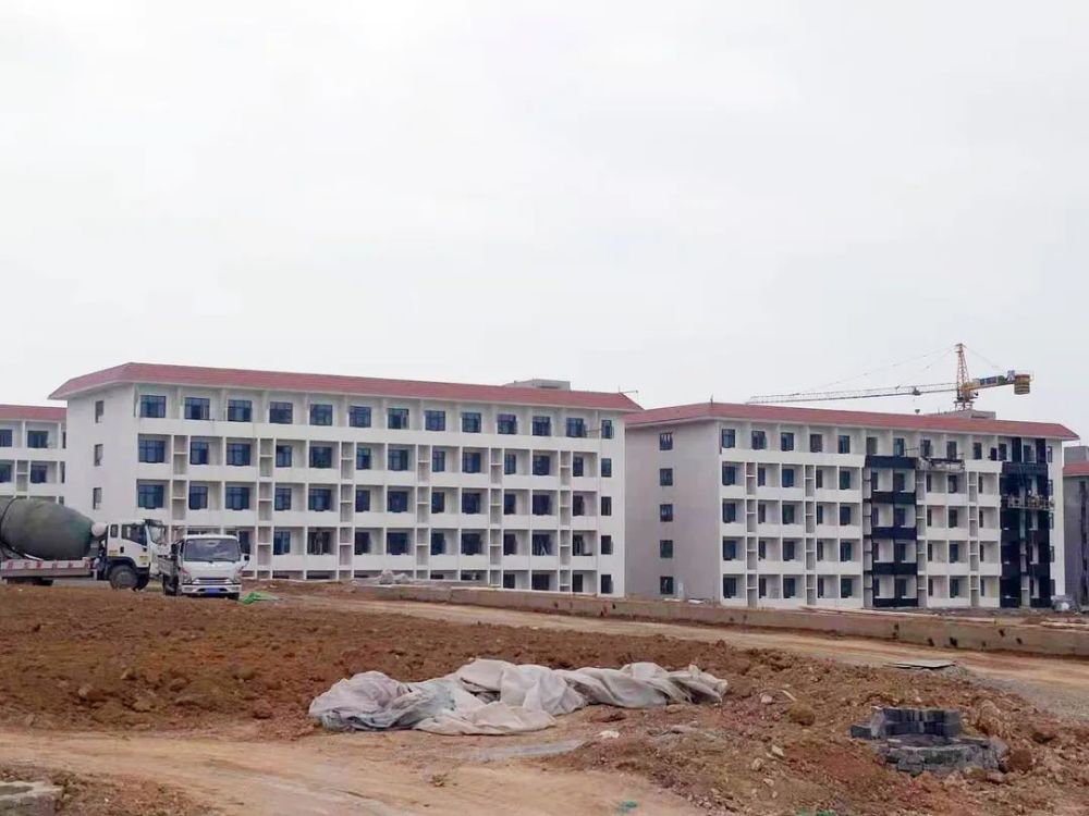 甘谷新聞，大石車(chē)禍最新進(jìn)展及觀(guān)點(diǎn)論述深度解析