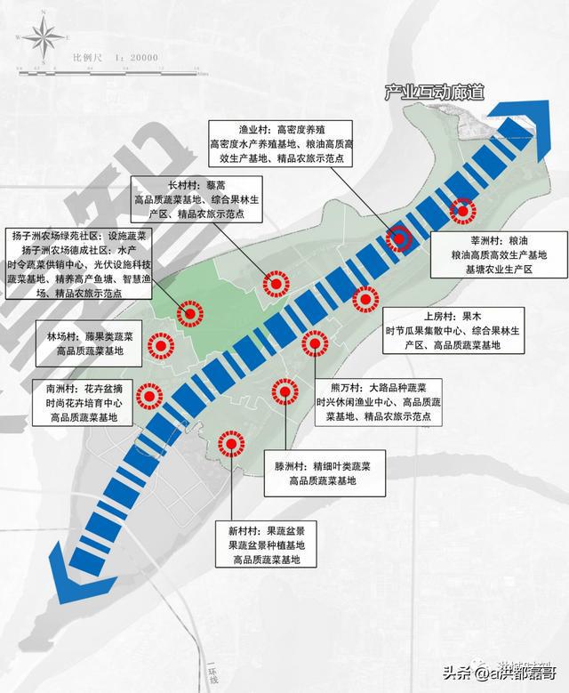 南昌揚子洲未來(lái)藍圖揭曉，最新規劃描繪未來(lái)發(fā)展路徑
