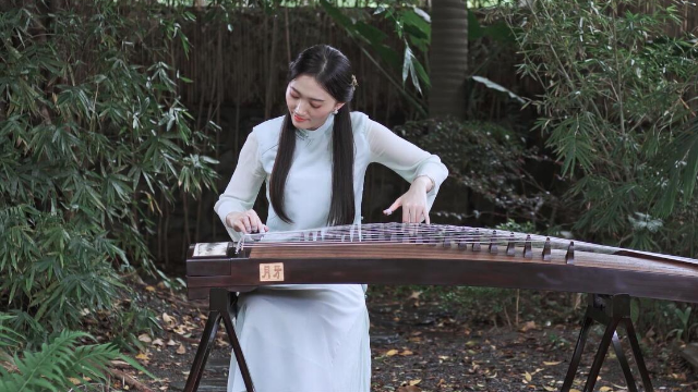 抖音最新琵琶演奏，古典與現代的完美融合之美
