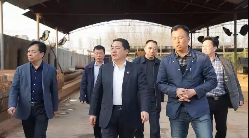 商丘王仲田最新動(dòng)態(tài)，探索自然美景的旅行，尋求內心平和之旅