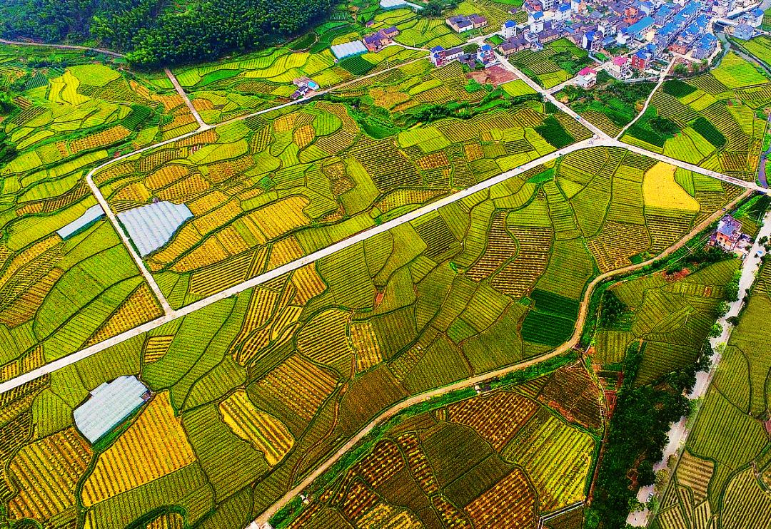 金竹最新規劃發(fā)布，開(kāi)啟學(xué)習新篇章，培養自信與成就感的源泉