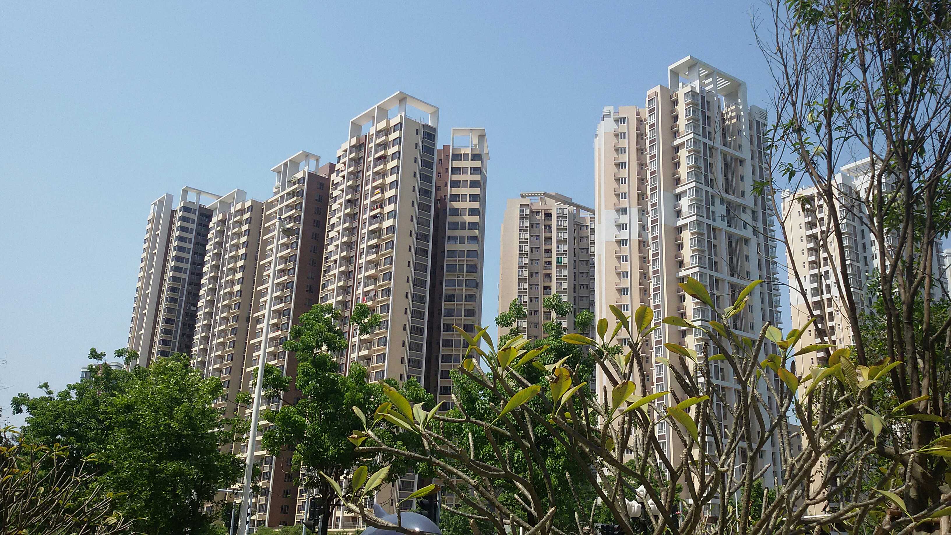 新建縣最新房產(chǎn)價(jià)格概覽及市場(chǎng)趨勢與前景展望