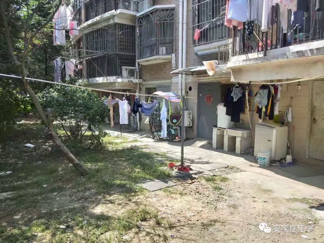 最新大雜亂時(shí)代，混沌與秩序的重建之路