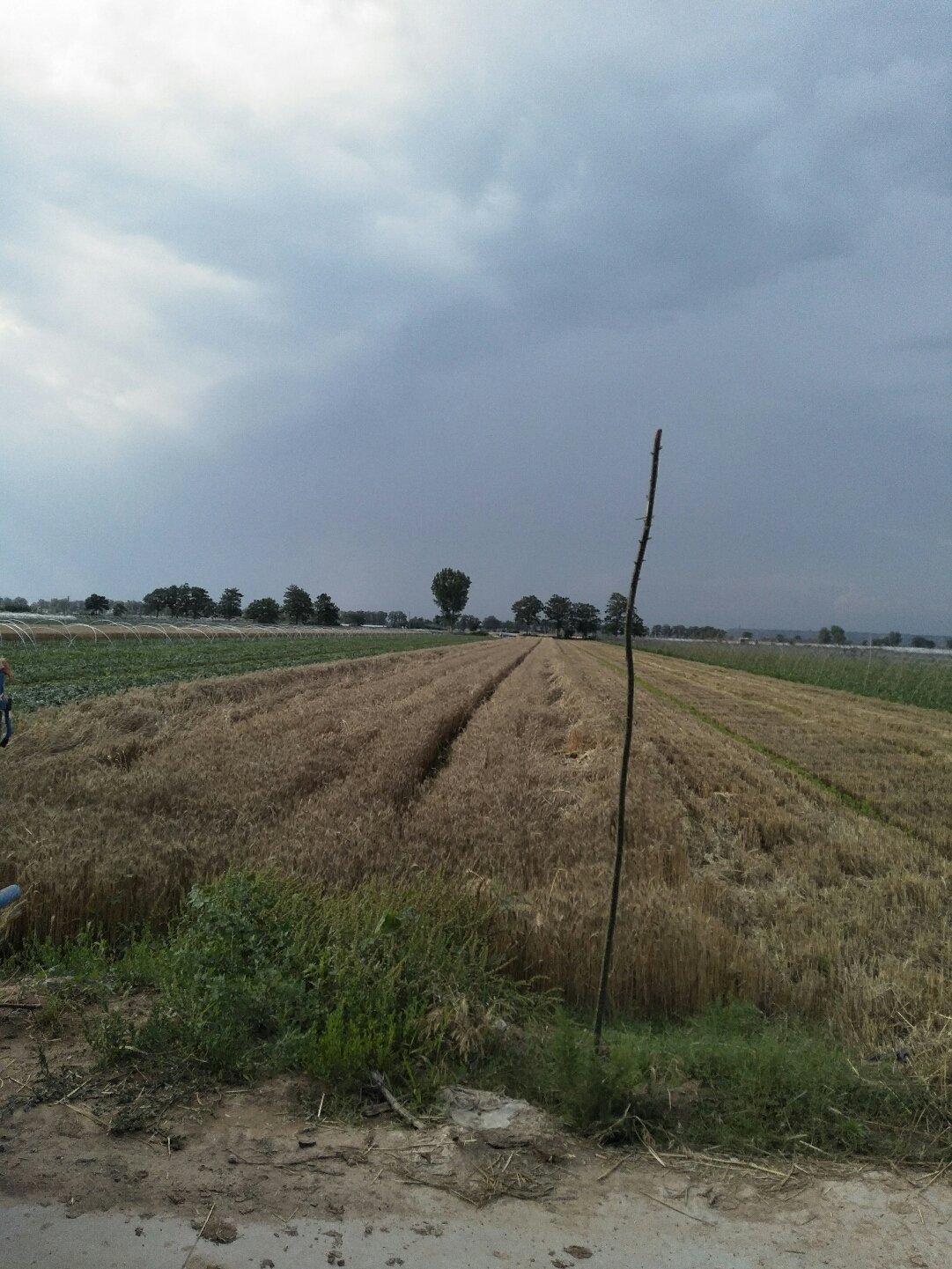 蒲城天氣預報，暖陽(yáng)下的友情時(shí)光