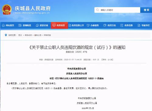 酒駕處罰2024最新標準詳解，步驟指南與更新概覽
