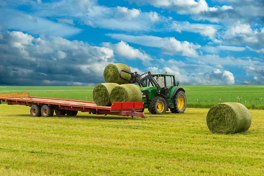 農業(yè)最新動(dòng)態(tài)，時(shí)代的脈搏與綠色希望共舞