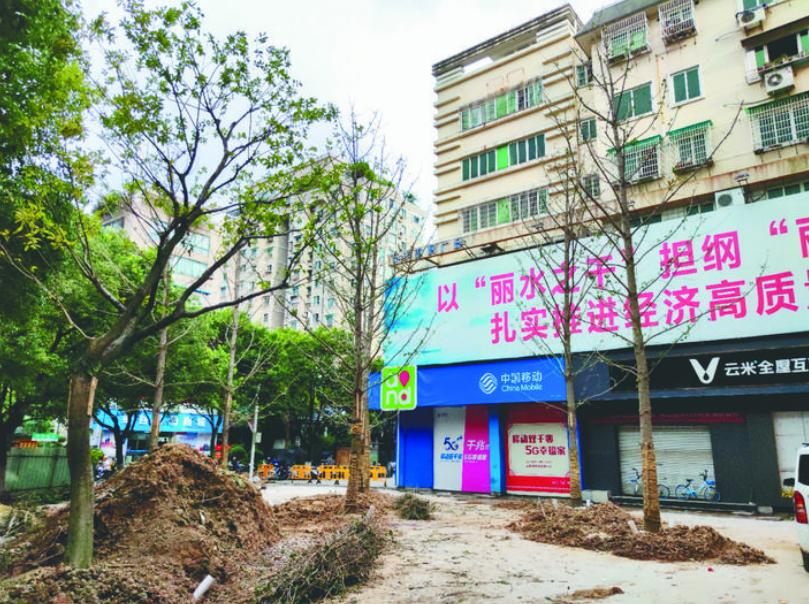 最新吊車(chē)網(wǎng)，自然美景之旅與內心平靜的探尋