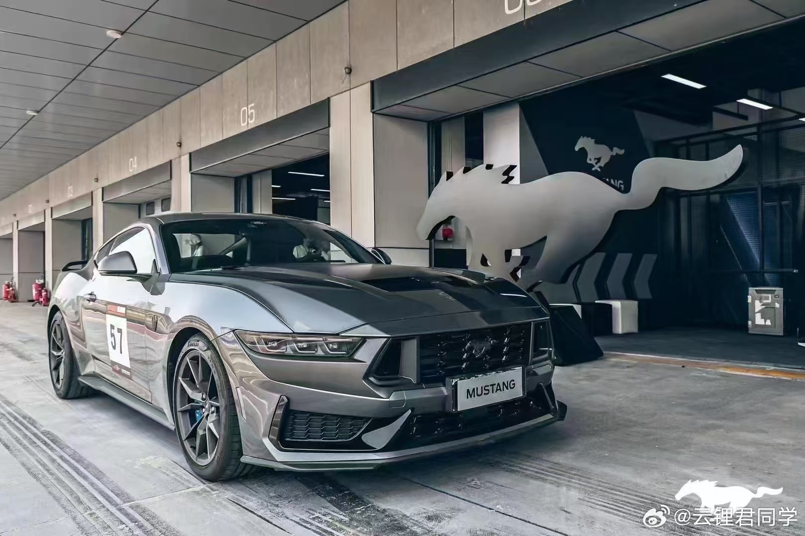 野馬擼最新動(dòng)態(tài)，駕馭變化，自信成就夢(mèng)想之旅