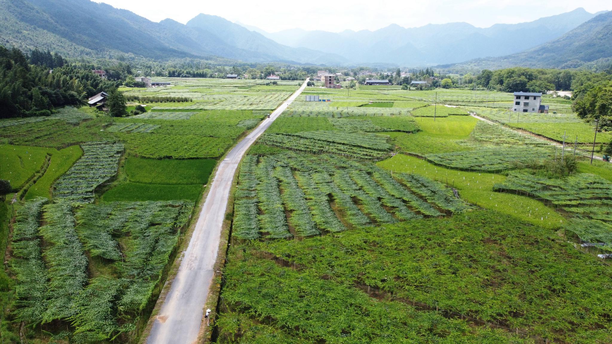 新文村，時(shí)代變遷下的文化繁榮與發(fā)展新篇章