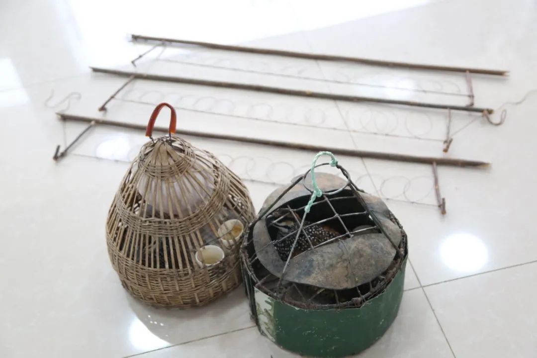 小巷中的神秘寶藏揭秘，最新捕鳥(niǎo)工具揭秘