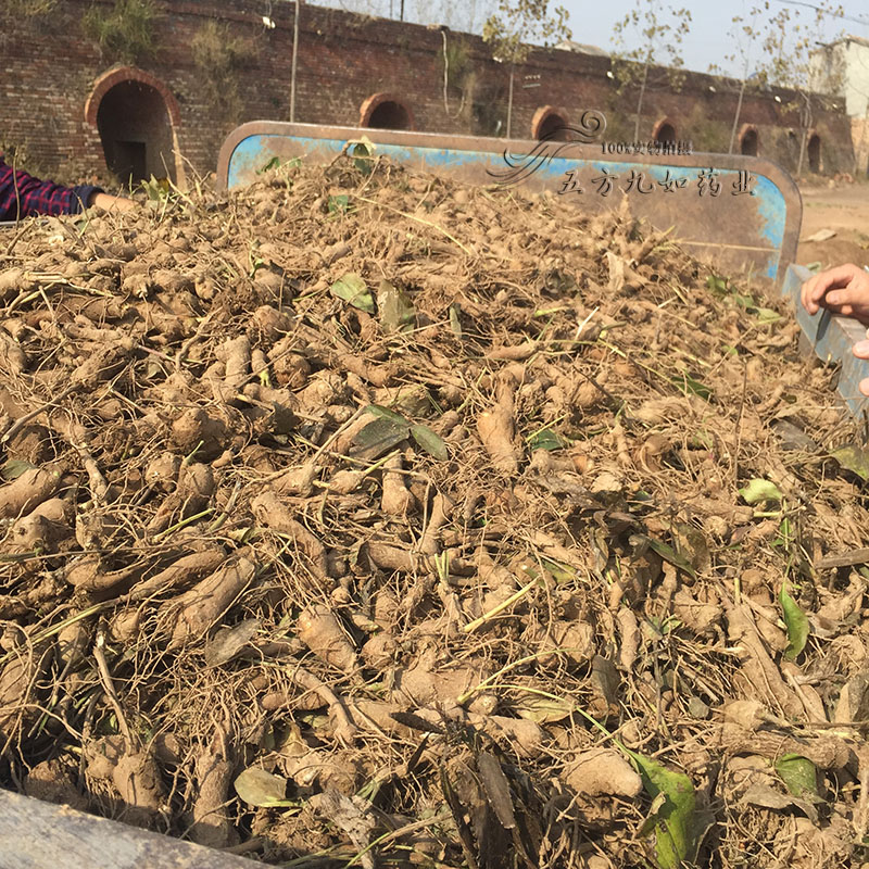 運動(dòng)場(chǎng)館燈具 第140頁(yè)