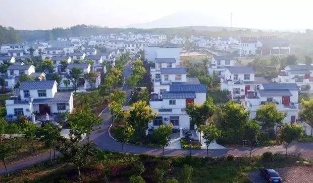 定遠最新動(dòng)態(tài)更新??速遞