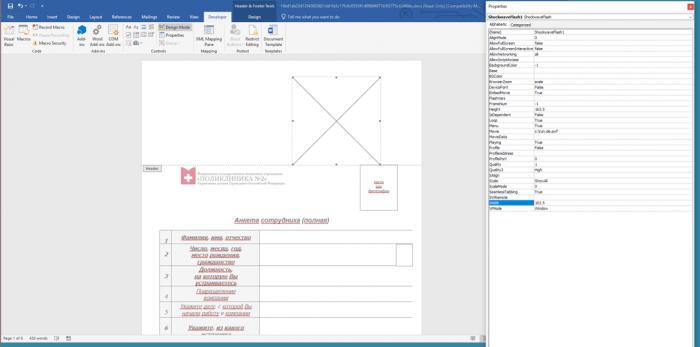 Flash Player官方最新版下載，探索小巷寶藏與特色小店的奇妙之旅