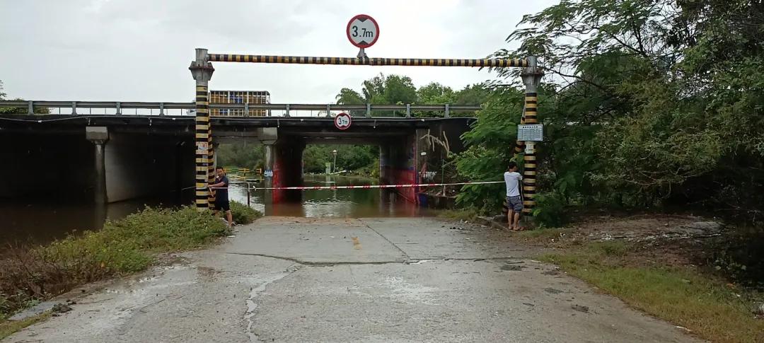 惠陽(yáng)臺風(fēng)最新消息，小巷深處的風(fēng)味秘境