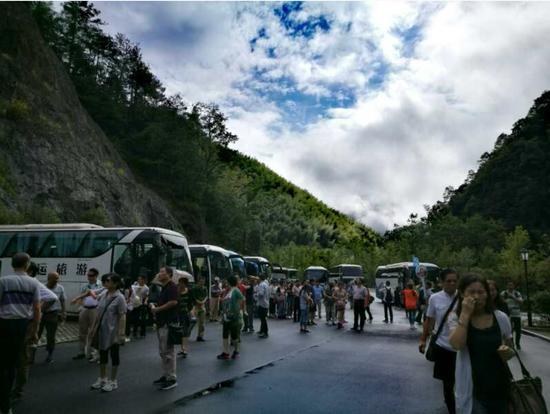 泰順高鐵最新動(dòng)態(tài)更新，最新消息一覽