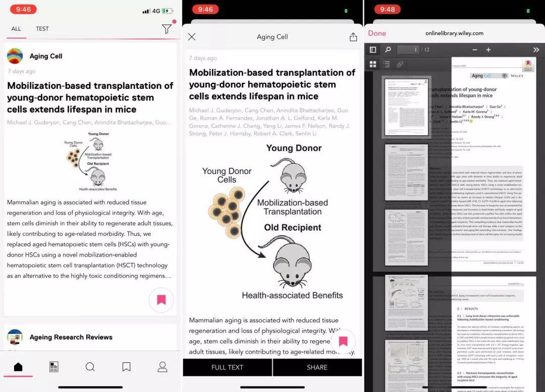 揭秘最新RSS資訊，解鎖信息世界的門(mén)戶(hù)之門(mén)