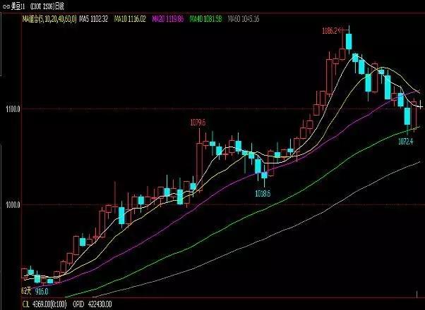 豆油最新行情概覽，市場(chǎng)走勢分析與未來(lái)展望