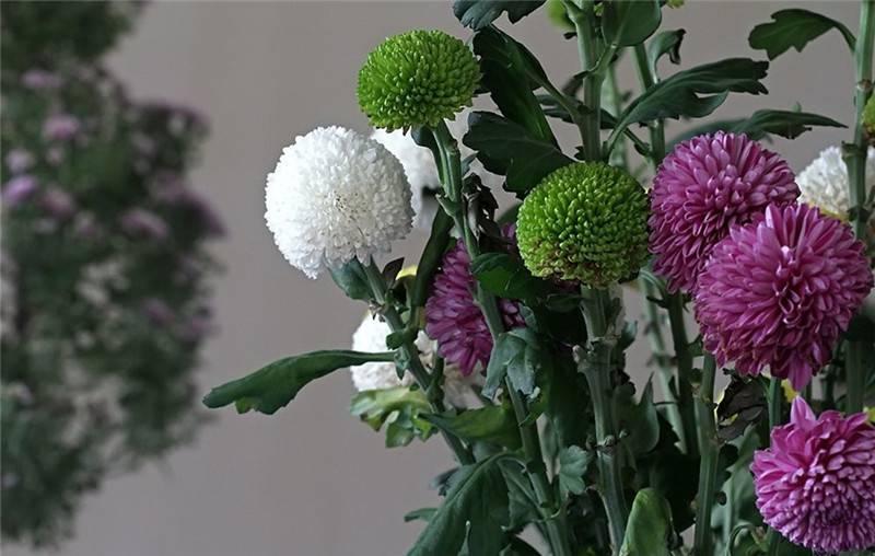 最新娛樂(lè )頭條，躍上成功舞臺的魔力之旅，自信與成就感的碰撞