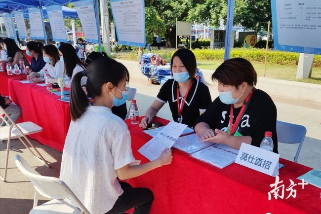 石碣最新招聘動(dòng)態(tài)，把握職業(yè)機遇，共創(chuàng  )美好未來(lái)之路