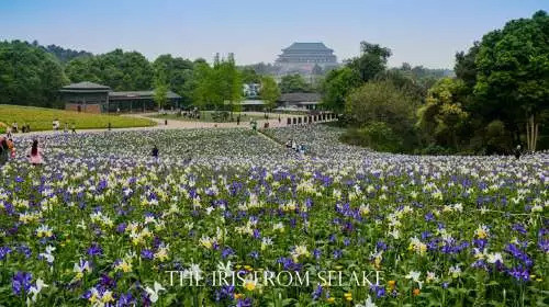 石象湖門(mén)票最新信息，賞花門(mén)票火熱搶購中！