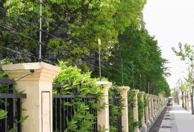 山河藥輔最新動(dòng)態(tài)，引領(lǐng)醫藥行業(yè)新篇章