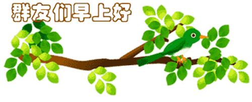 最新清晨祝福短信，晨曦中的溫暖問(wèn)候，傳遞美好祝愿與關(guān)懷