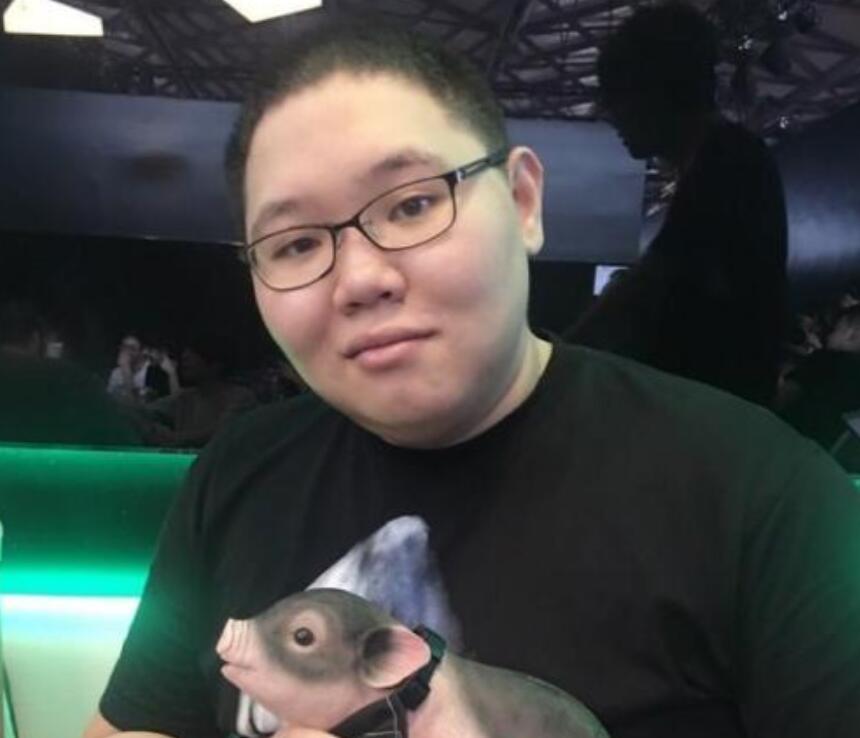 PDD最新直播視頻，直播界的璀璨明星閃耀時(shí)刻