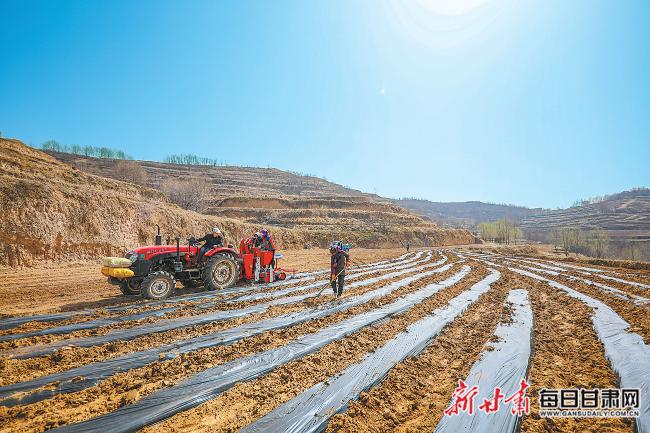 秦安最新新聞，城市溫情日常溫馨小事報道