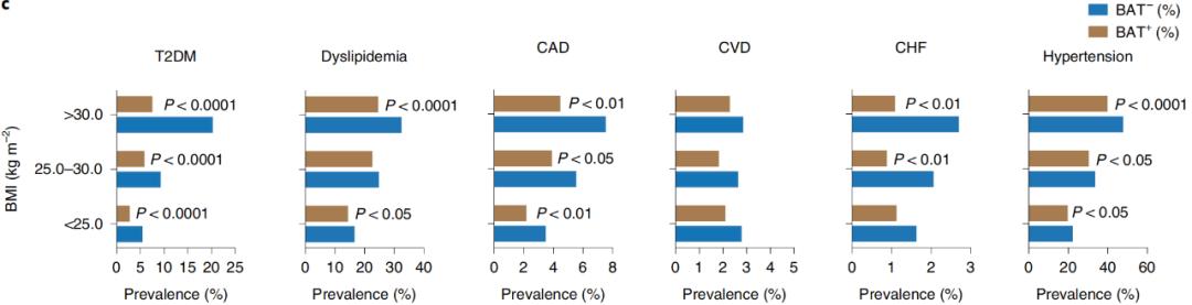 腦疾病最新研究，重塑大腦信心與成就感之路