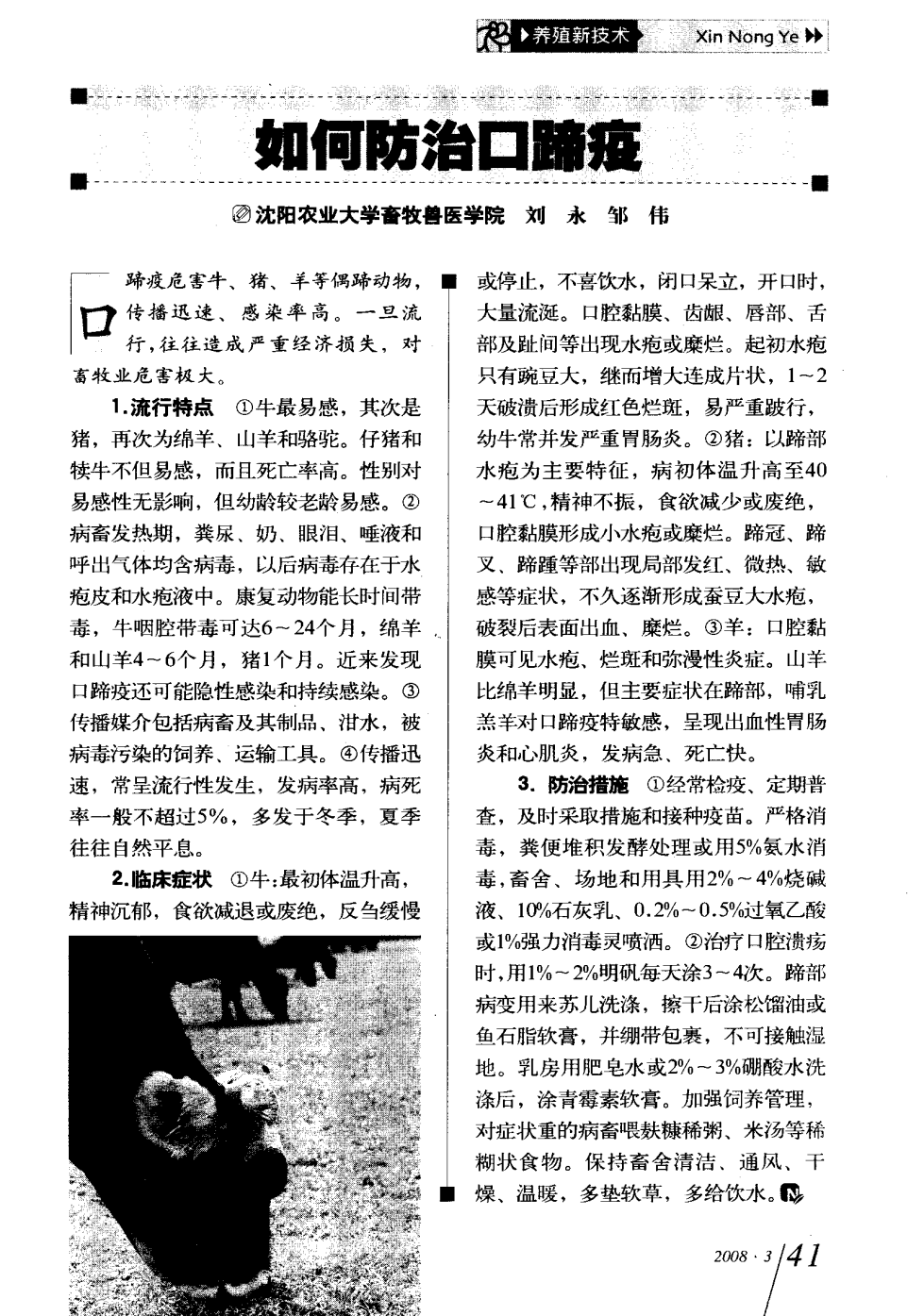 口蹄疫最新科研，自然探險與內心平和的追尋之旅