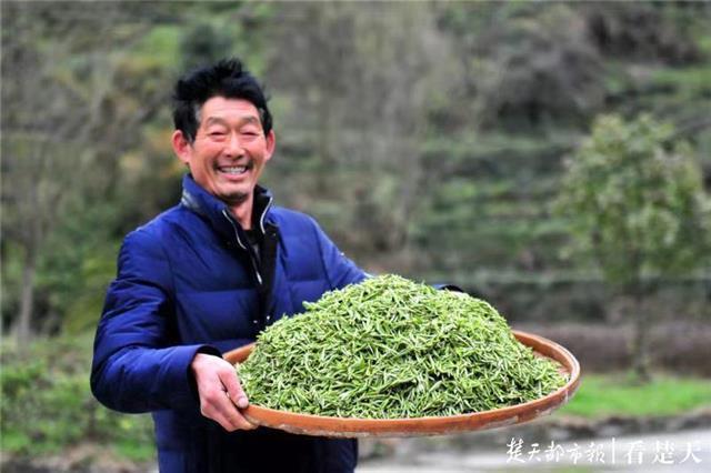 最新夷陵新聞，探索自然美景的旅程，尋覓內心平和之地