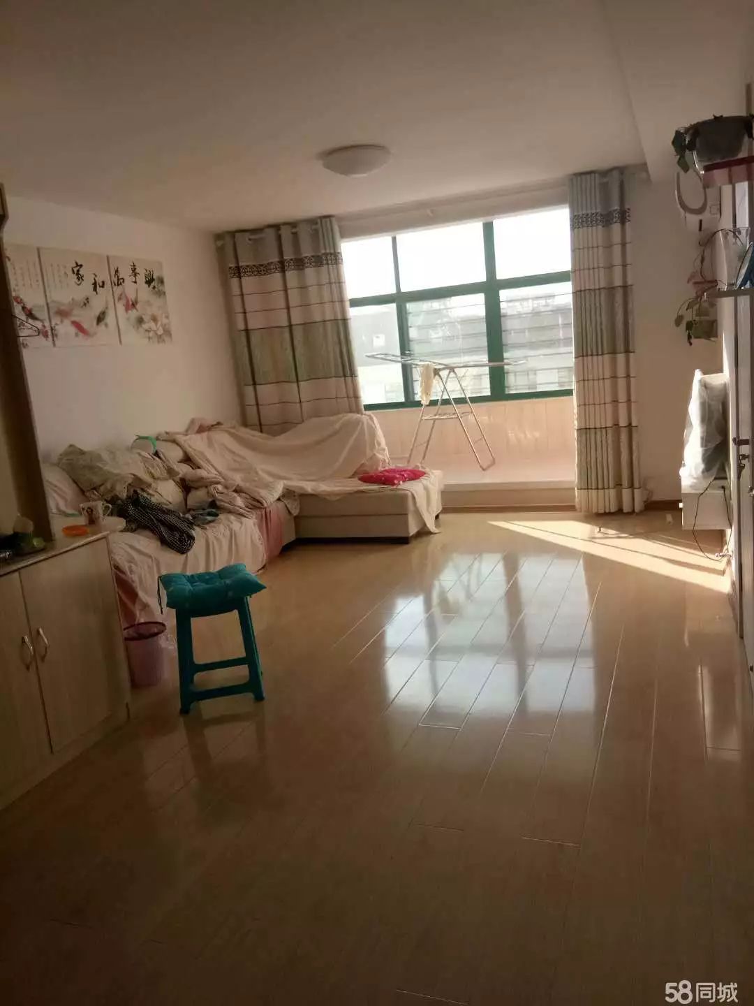 萊西最新個(gè)人租房，窗外世界與自我成長(cháng)的旅程