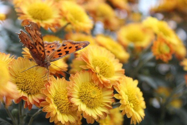 番茄最新作品，用學(xué)習之鑰，開(kāi)啟自信與成就的大門(mén)