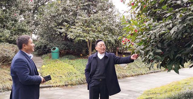 最新花木求購，開(kāi)啟一場(chǎng)尋綠之旅的溫馨旅程