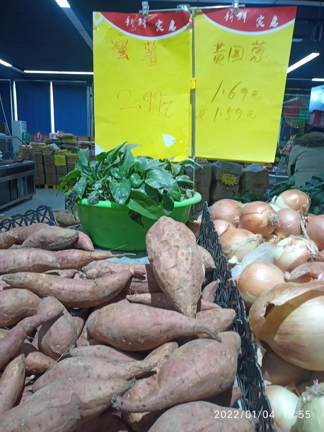 最新地瓜價(jià)格解析，查詢(xún)指南與任務(wù)攻略