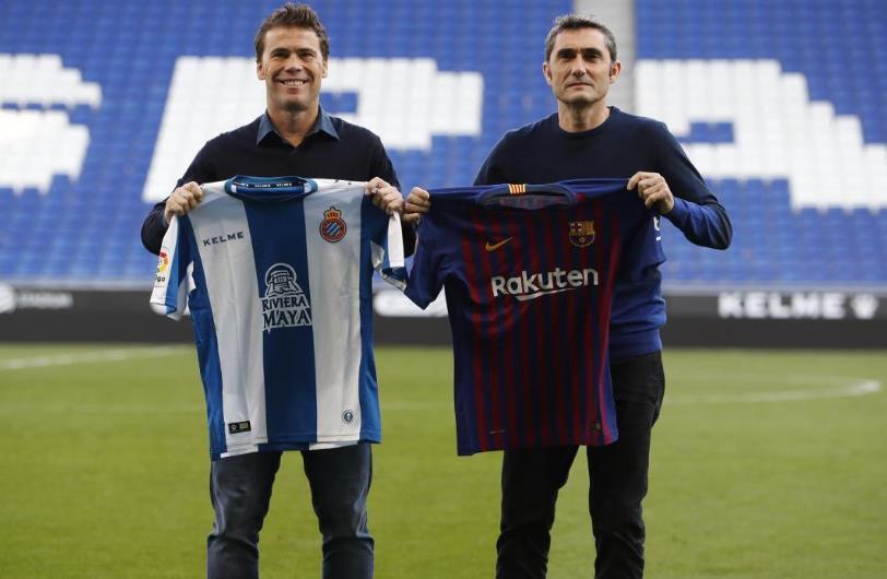 最新體育直播，與大自然共舞，探索寧靜的內心之旅