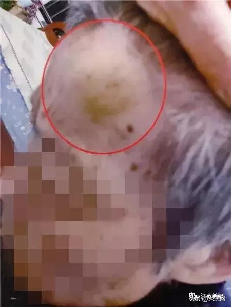 揪脖子最新視頻，探秘小巷風(fēng)情小店，獨家揭秘！