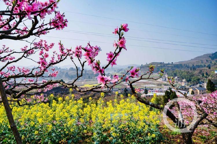 合川最新科技新聞，高科技產(chǎn)品引領(lǐng)未來(lái)生活潮流