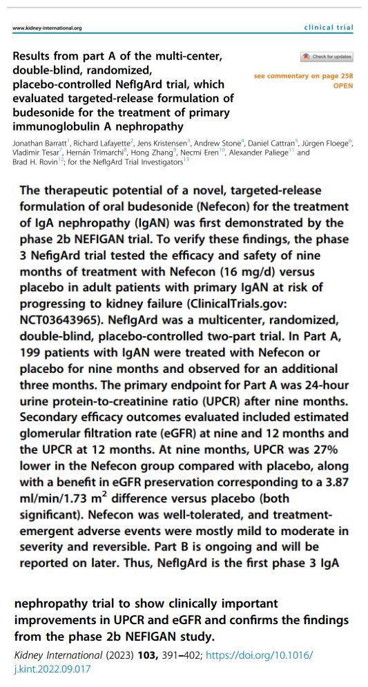 IGA腎病最新突破，醫學(xué)奇跡在小店中綻放的獨特魅力