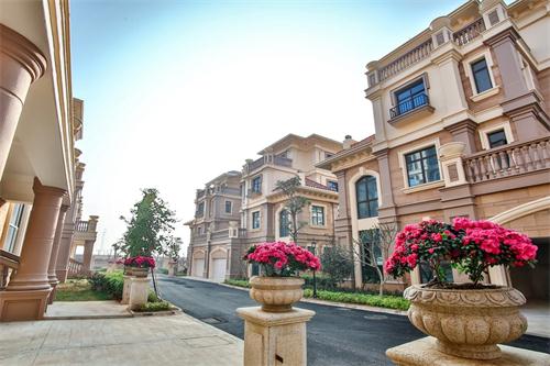 新泰最新樓盤(pán)，城市發(fā)展與居住品質(zhì)的新篇章