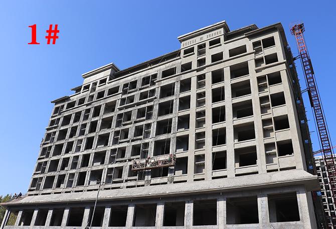 平輿最新樓盤(pán)市場(chǎng)現狀與前景展望，深度解析市場(chǎng)趨勢與發(fā)展前景展望