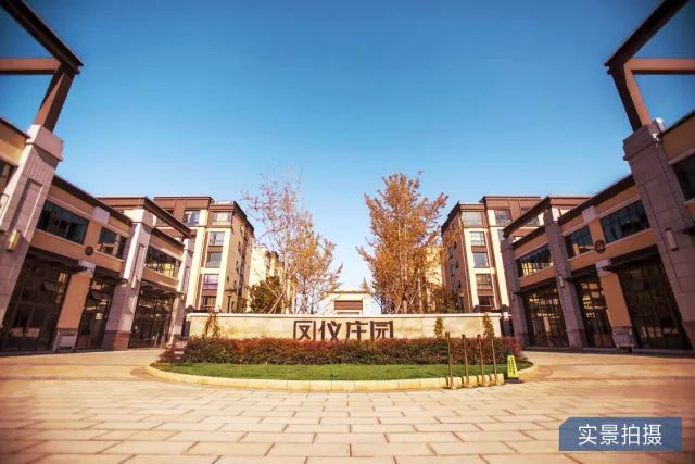 鳳儀莊園最新動(dòng)態(tài)，家的溫馨與友情的綻放時(shí)刻