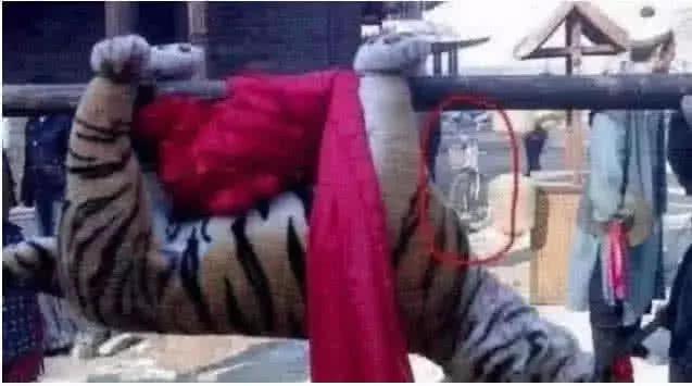 最新打虎消息，探尋內心平靜的打虎之旅