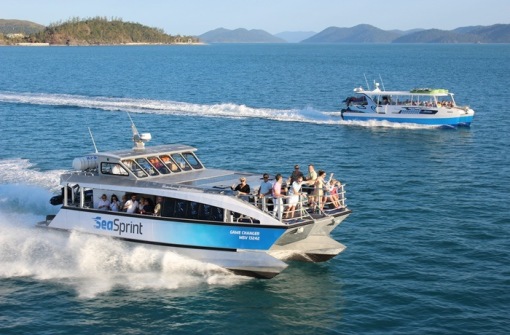 時(shí)代背景下的璀璨星辰，最新號號天堂綜述