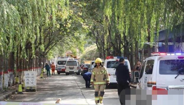 安陽(yáng)最新事件，溫馨日常與不期而遇的友情之旅