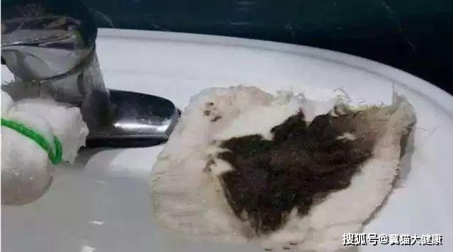 揭秘水污染真相，小杰的河流探索之旅——溫馨河流的秘密揭秘視頻