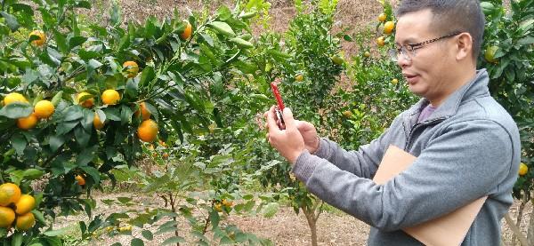 活力四溢的湘西門(mén)戶(hù)——沅陵最新紅網(wǎng)動(dòng)態(tài)