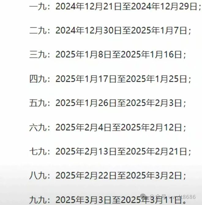 最新久久網(wǎng)2025，友情小船與溫馨日常的交織